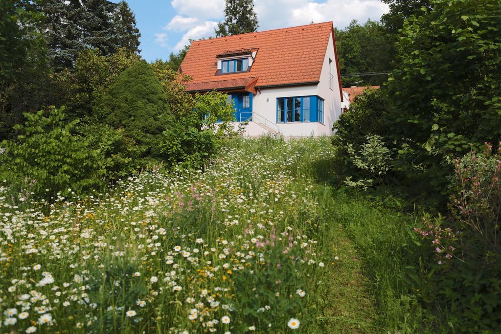 Rekreační vilka Zlenice Exteriér fotografie